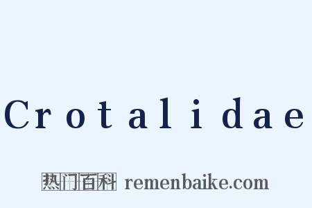 Crotalidae是什么意思的图片